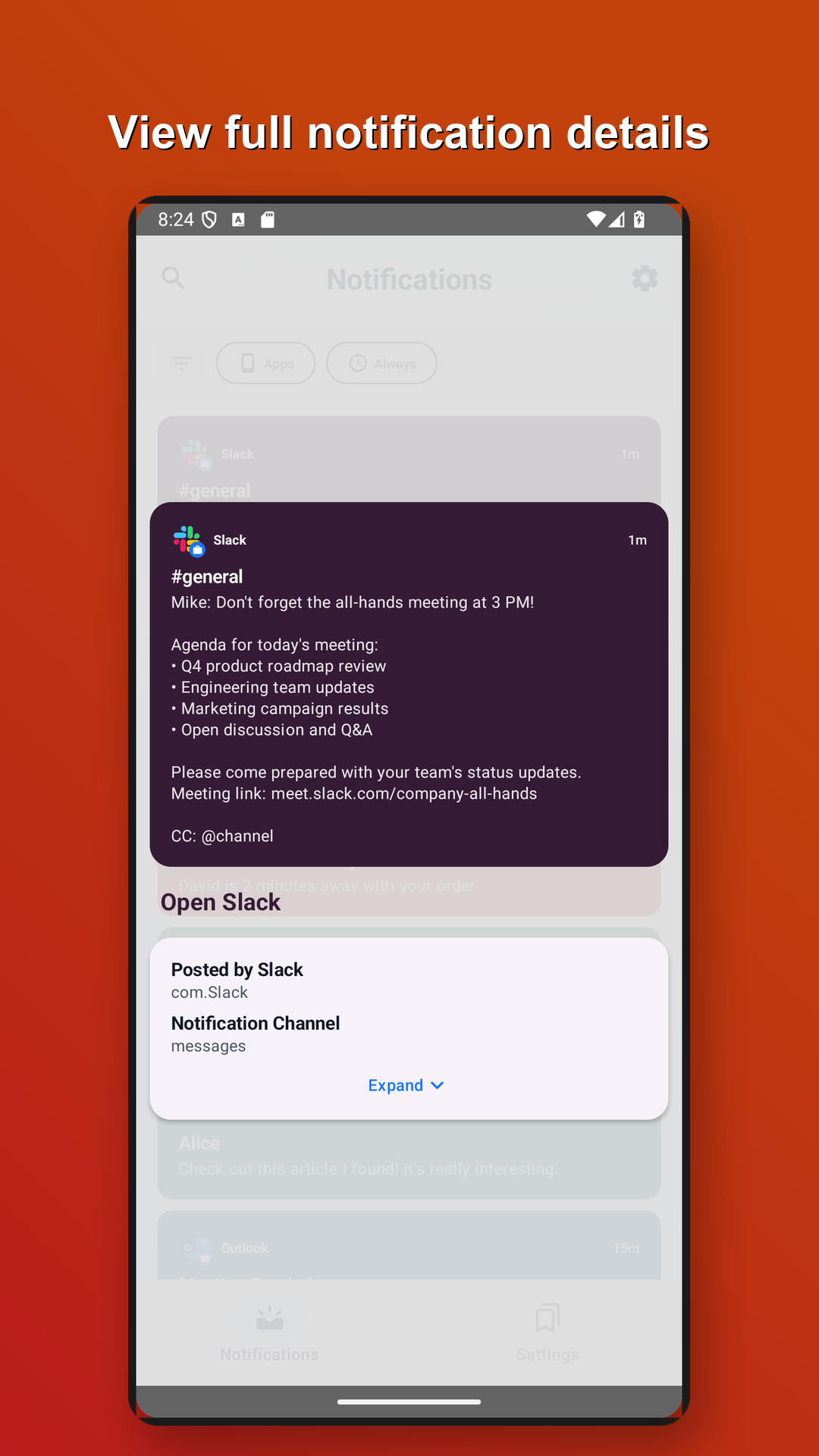 Detailed notification view